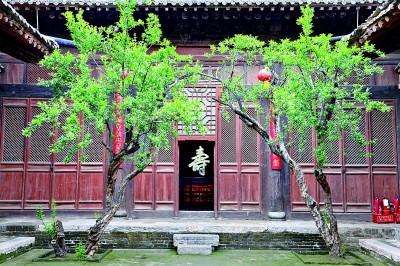 何以中國何以家國